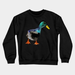 Watercolor duck Crewneck Sweatshirt
